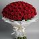 Букет 101 Красная роза Блэк Мэджик в Татарке