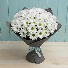 Букет цветов из:  Хризантемы в Татарке