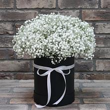 Цветочная композиция из Гипсофила в шляпной коробке в Татарке