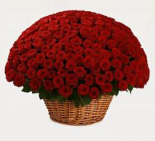 Премиум букет из: Розы в Татарке